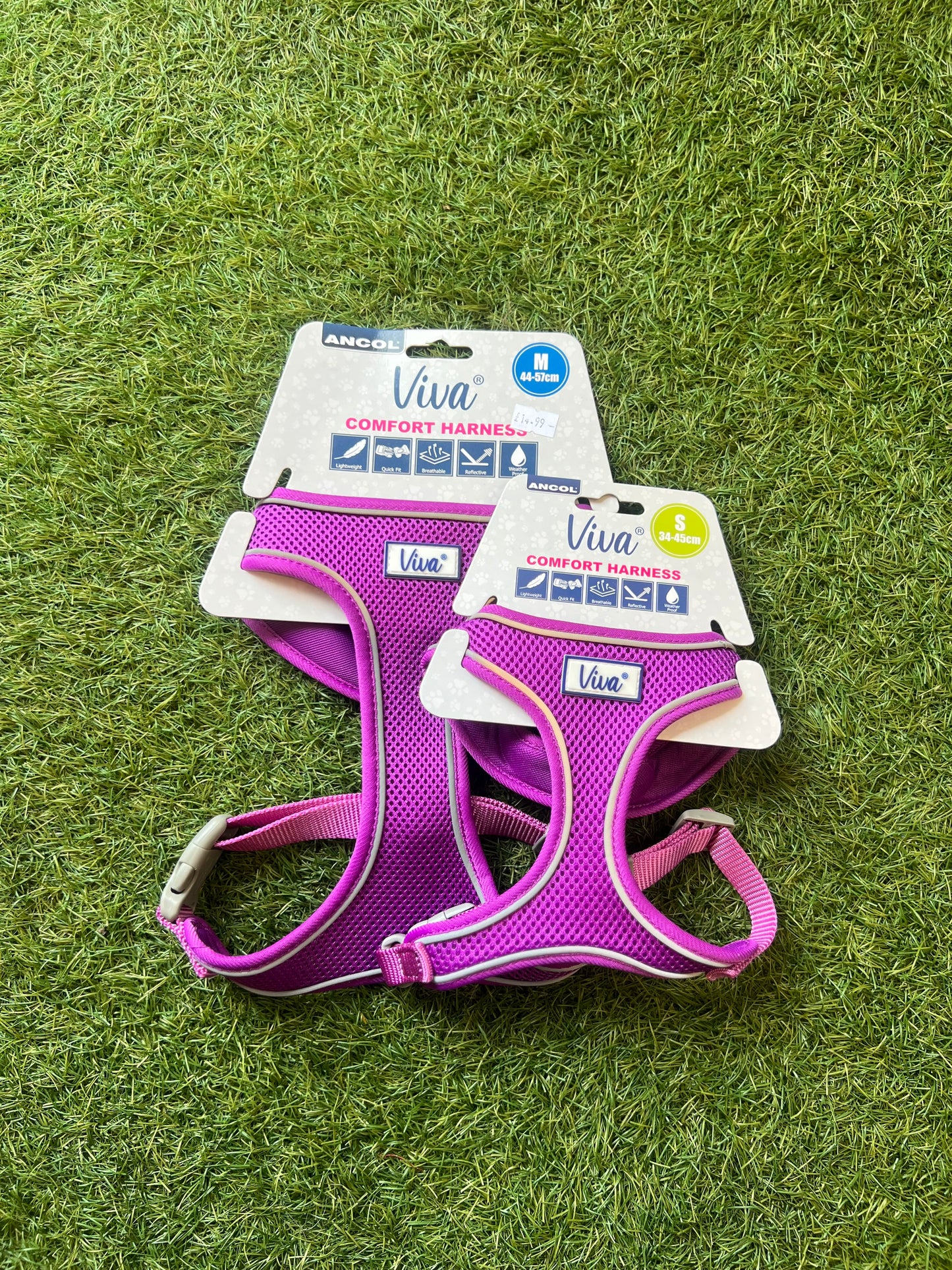 Ancol Purple Comfort Harness Small