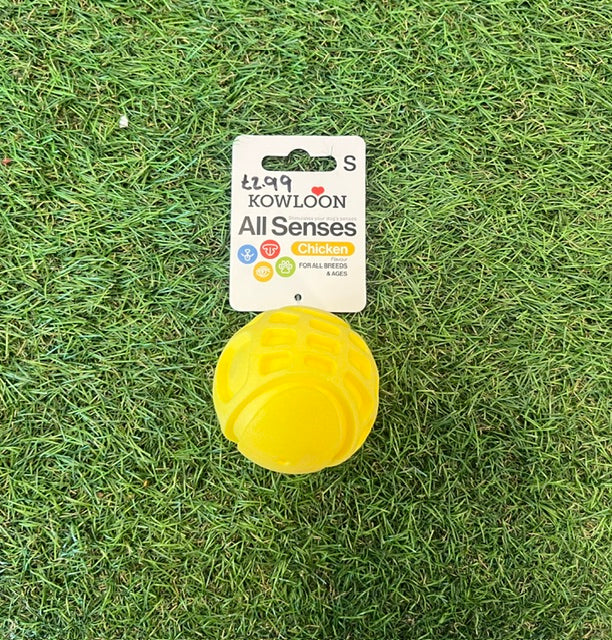 All Senses Ball