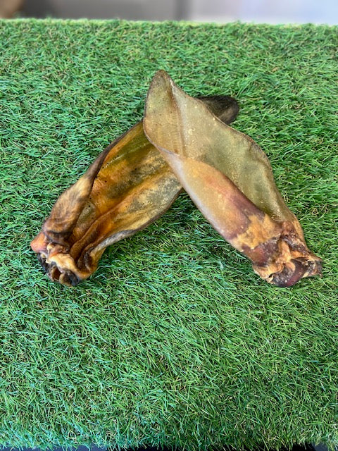 Buffalo Ear 1pc