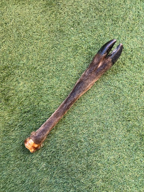 Venison Leg 1pc