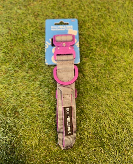 Bully Billows Purple & Metal Grey 4cm LIGHTER Combat Collar with Handle Rated Clip