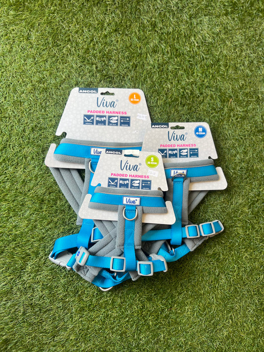 Ancol Blue Padded Harness Small