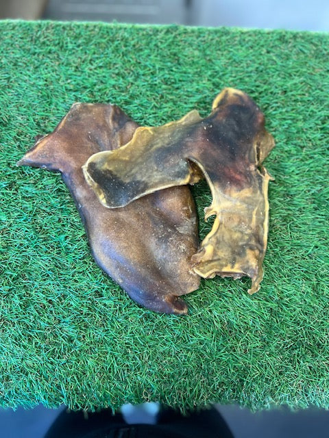 Camel Plates 1pc