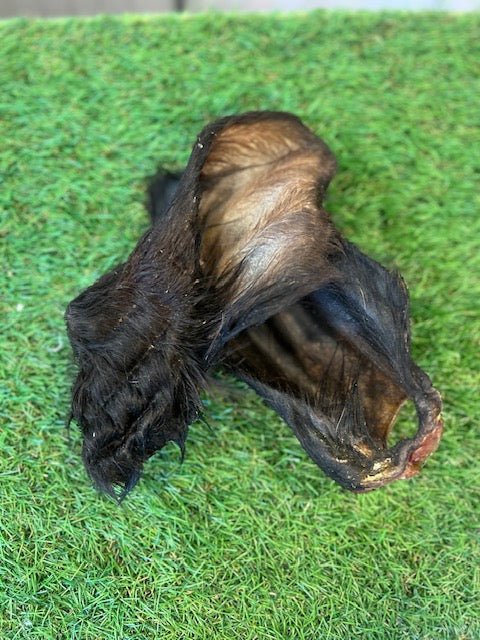 Hairy Cow Ear 1pc