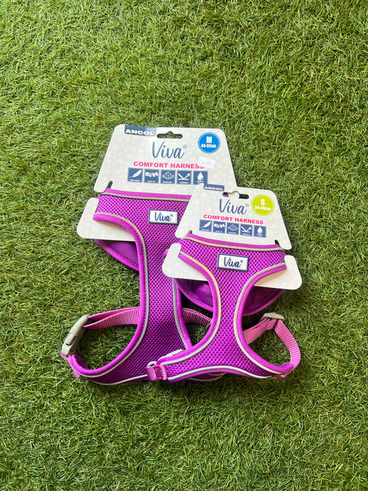 Ancol Purple Comfort Harness Small