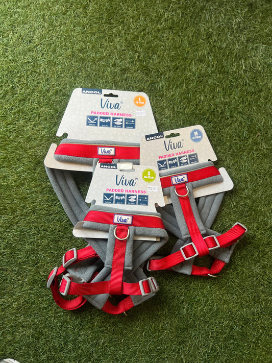 Ancol Red Padded Harness Small