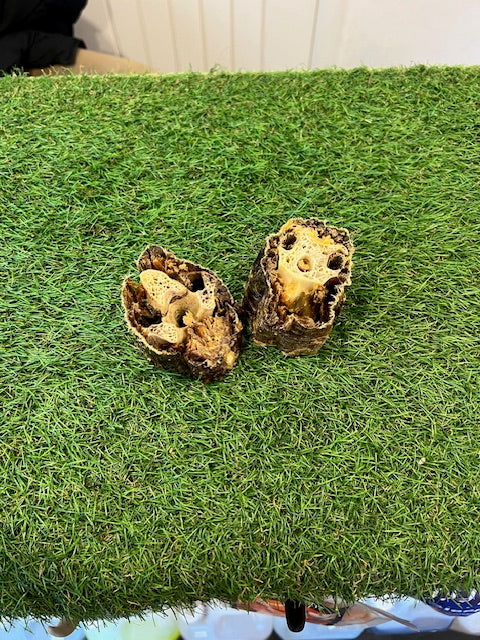 Anco Ostrich Neck Chunks (1pc)