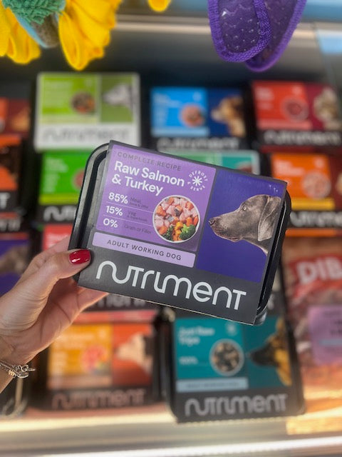Nutriment Raw Salmon & Turkey 500g