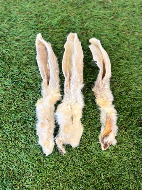 Hairy Rabbit Ear 1pc