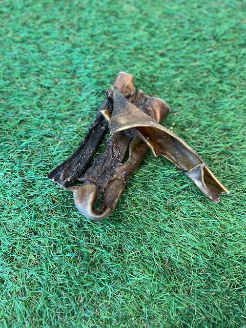 Camel Skin 1pc