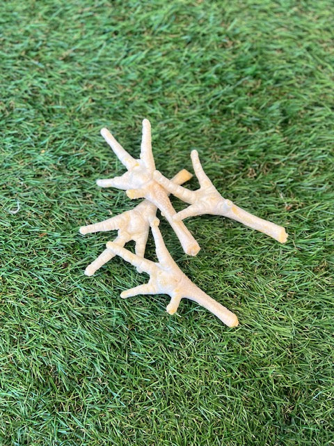 Puffed Chicken Foot 1pc