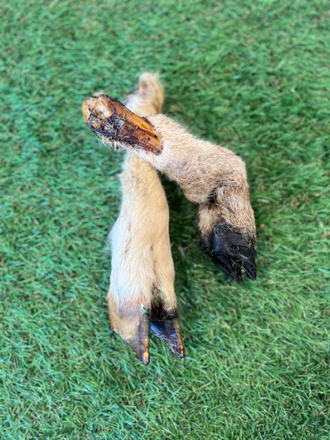 Hairy Lamb Feet 1pc