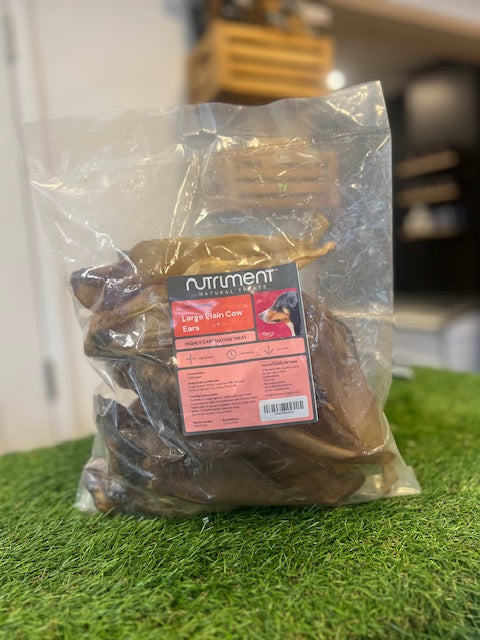 Large Plain Cow Ears 10pcs