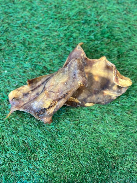 Pig Ear 1pc