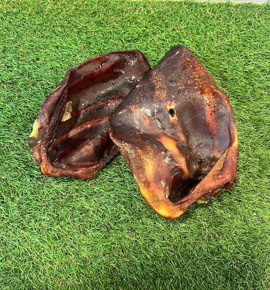 Sow Ears XL 1pc
