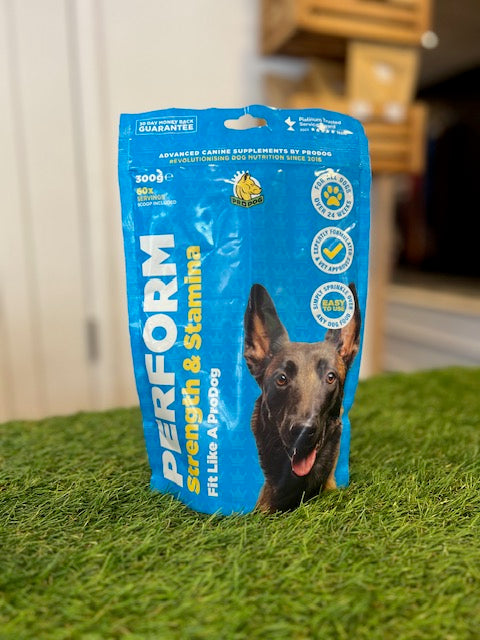 Pro Dog Perform 300g