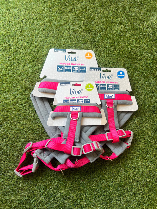 Ancol Pink Padded Harness Small